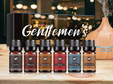 16 Theme Atmosphere Flameless Essential Oil Sets (Option: Gentleman suit)